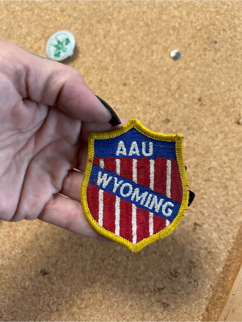 Vintage AAU Wyoming Embroidered Patch